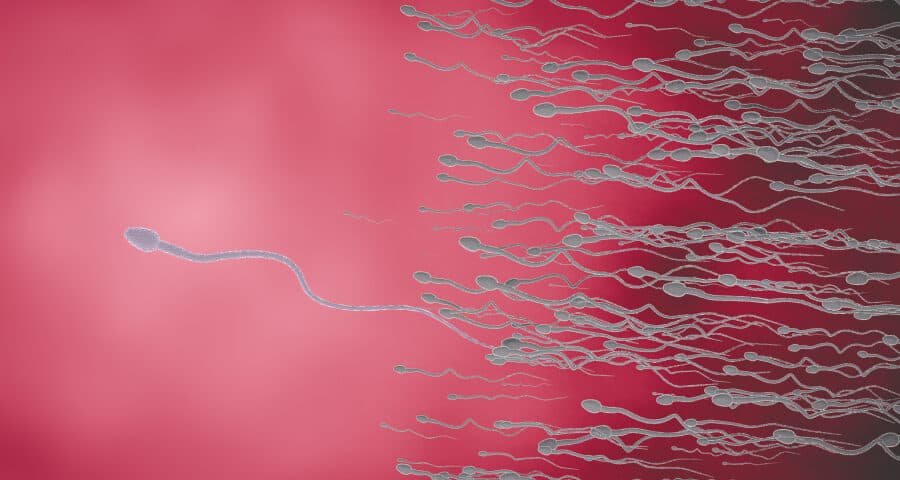 Male infertility