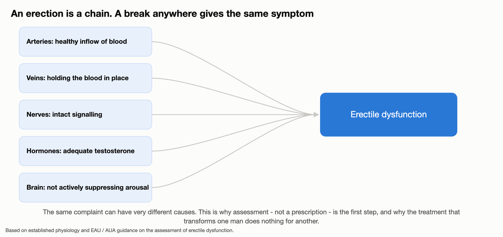 Diagram showing the chain required for an erection and how a break in any link produces erectile dysfunction