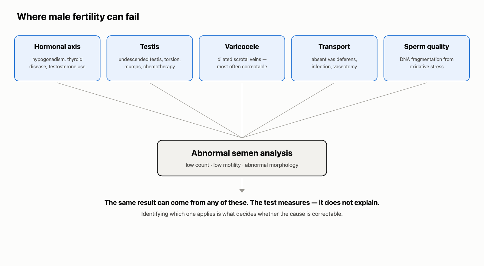 Male infertility: diagram showing how hormonal, testicular, varicocele, transport and sperm DNA problems all converge on the same abnormal semen analysis